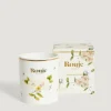 Best Bougie Figuier de Chypre Lifestyle | Accessoires