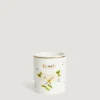 Best Bougie Figuier de Chypre Lifestyle | Accessoires