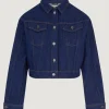 Cheap Veste JOE Manteaux & Vestes